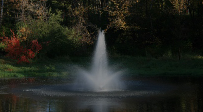 Bedford Hills Pond and Lake Management